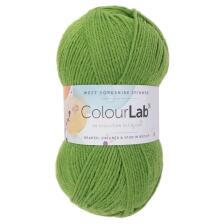 West Yorkshire Spinners ColourLab DK Unis 100g Farbe: 1134 Shamrock Green