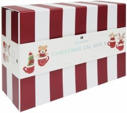 Rico Design Ricorumi Christmas CAL Box 5