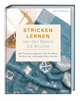 Stricken lernen von Basics bis Brioche von Anna Pantelous