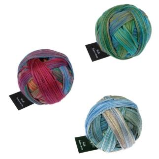 Schoppel Wolle Woll-Schwestern 50g