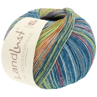 Landlust Die Sockenwolle 100g
