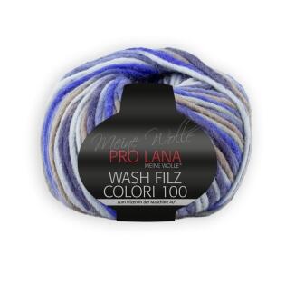 Pro Lana Wash -Filz Colori 100g