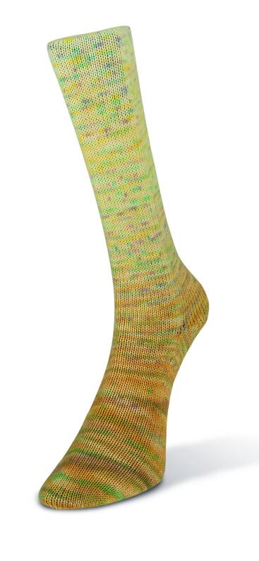 Laines du Nord Paint Gradient Sock 100g Frabe: 017