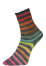 Woolly Hugs Paint Socks Modellbeispiel Farbe: 203 regenbogen