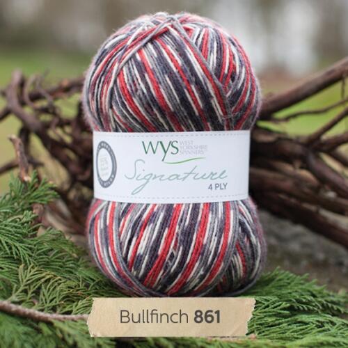 West Yorkshire Spinners Signature 4ply "Country Birds " Farbe: Bullfinch
