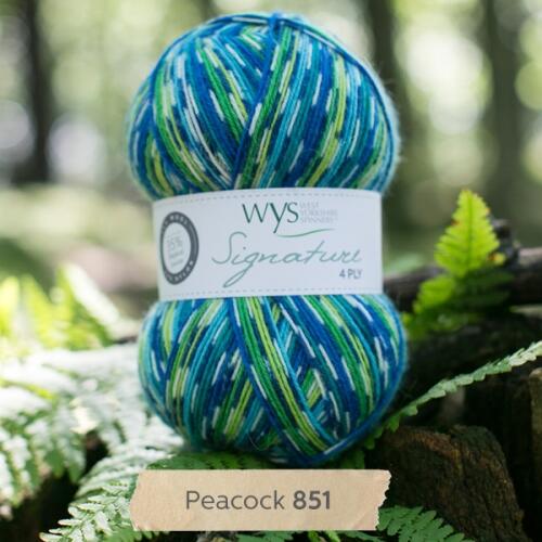 West Yorkshire Spinners Signature 4ply "Country Birds " Farbe: Peacock