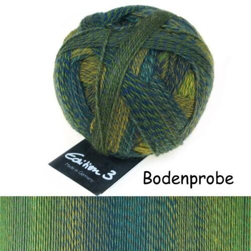 Schoppel Wolle Edition 3.0 aus 100% Merino Schurwolle extrafein Farbe: Bodenprobe