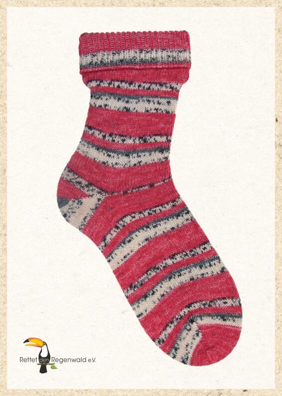 Opal Sockenwolle Regenwald 20 Jubiläumsedition Farbe: 2749 Marienkäfer