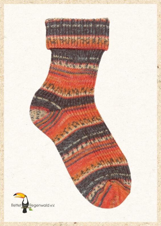 Opal Sockenwolle Regenwald 20 Jubiläumsedition Farbe: 8570 Uganda Timmi