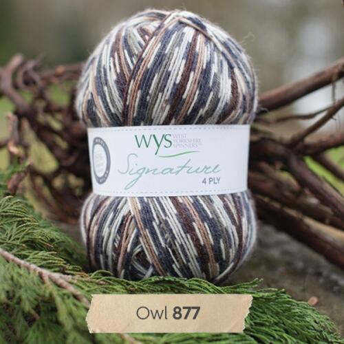 West Yorkshire Spinners Signature 4ply "Country Birds " Farbe: Owl