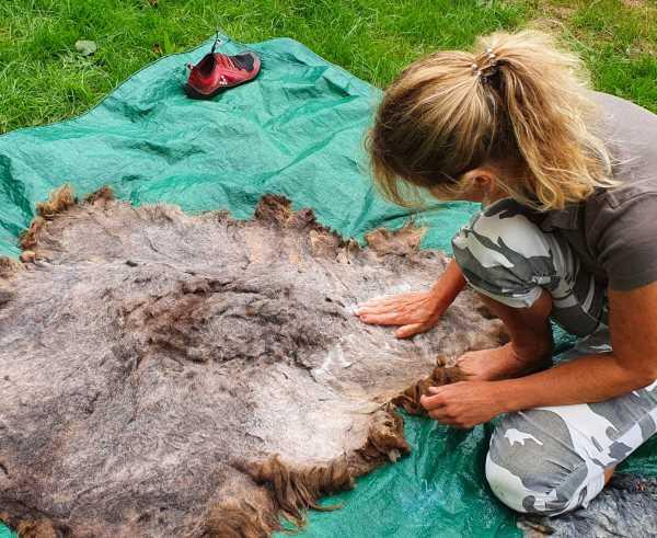 Wollkraut Ausgabe 03 Fr&uuml;hling 2022: Veggi-Felle filzen