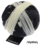 Schoppel Zauberball - Single Version - 4-fach Sockengarn Farbe Schatten