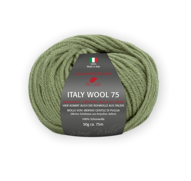 Pro Lana Italy Wool 75 50g