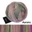 Schoppel Wolle Edition 3.0 50g Farbe: Aurora