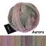 Schoppel Wolle Edition 6.0 50g Farbe: Aurora