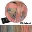 Schoppel Wolle Gradient 100g Merinogarn mit langem Farbverlauf Farbe: 2624 Elchtest