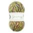 West Yorkshire Spinners Signature 4ply   "Country Birds  " 100g Farbe: Woodpecker