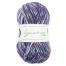 West Yorkshire Spinners Signature 4ply  "Country Birds " 100g Farbe: Starling