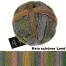 Schoppel Wolle Zauberball® Alb Zauber Crazy 100g Farbe: Kein schöner Land