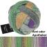 Schoppel Wolle Zauberball® Crazy Cotton Stärke 4 100g Farbe: Arzt oder Apotheker