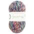 West Yorkshire Spinners Signature 4ply  Sparkle  100g Farbe: Nutcracker