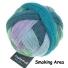 Schoppel Zauberball - Single Version - 4-fach Sockengarn Farbe Smoking Area