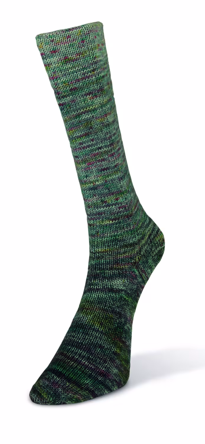 Laines du Nord Paint Gradient Sock 100g Farbe: 010