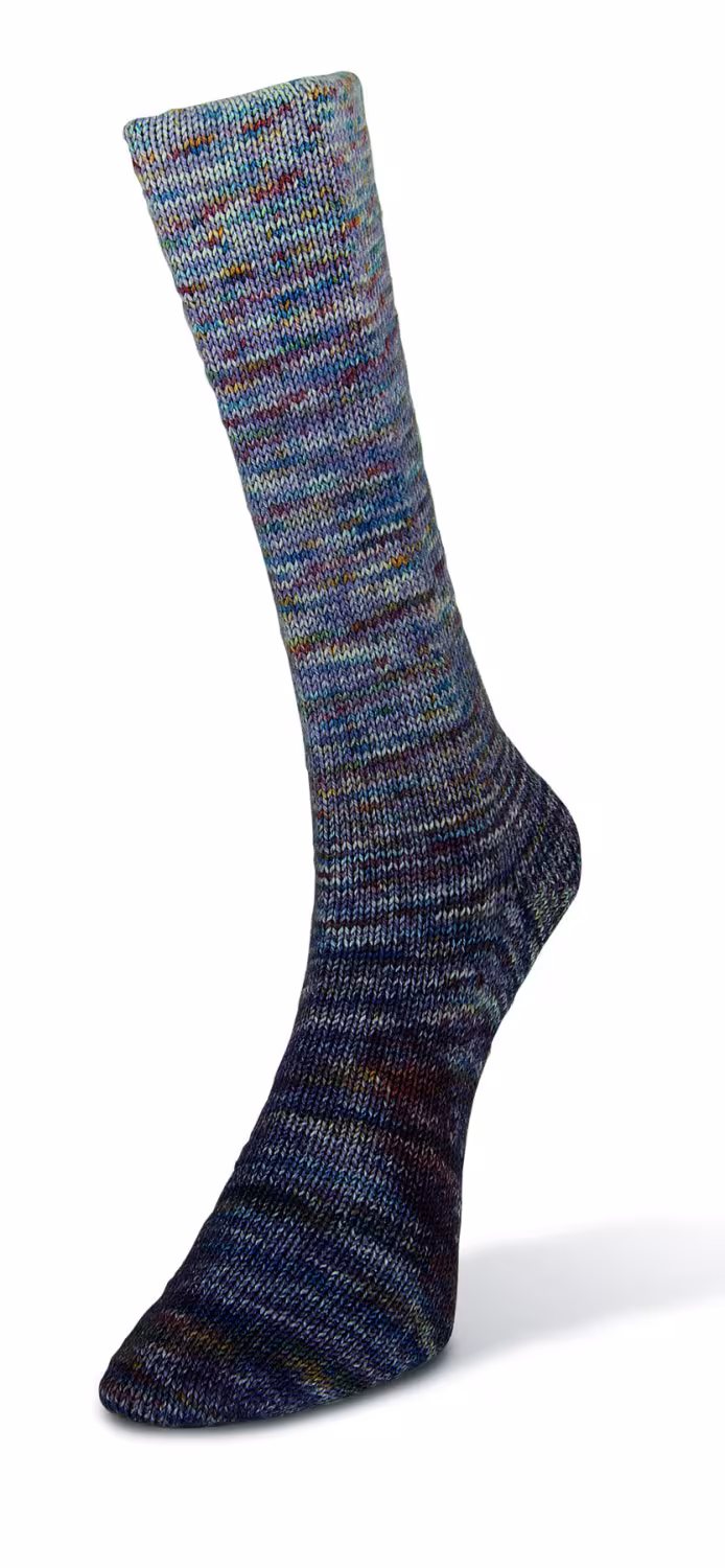 Laines du Nord Paint Gradient Sock 100g Farbe: 011