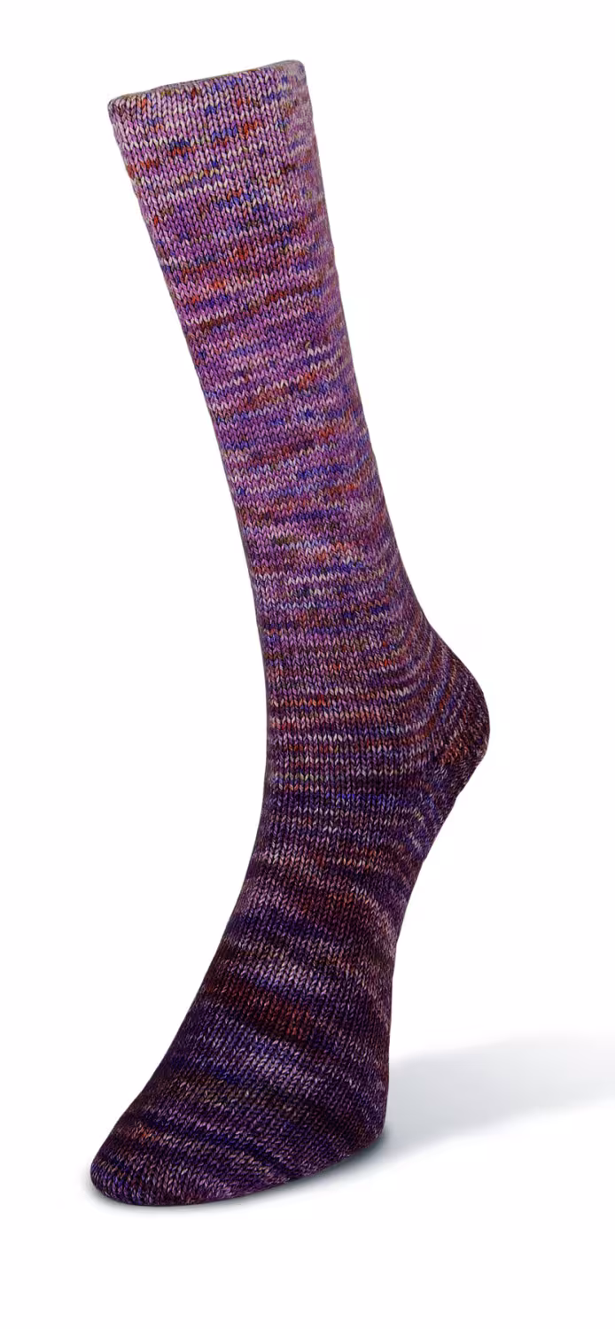 Laines du Nord Paint Gradient Sock 100g Farbe: 013