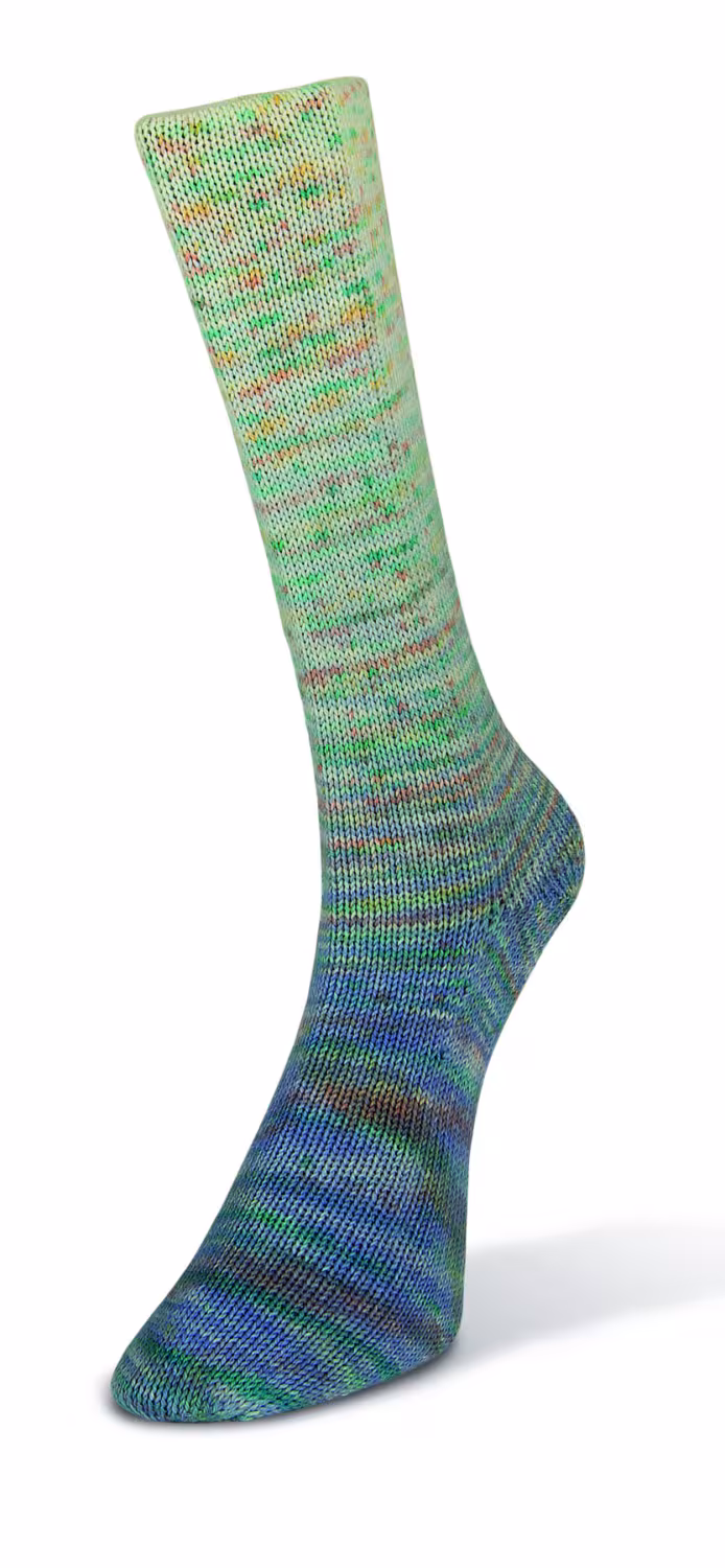 Laines du Nord Paint Gradient Sock 100g Farbe: 015