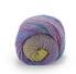 Laines du Nord Poema Color 150g Farbe 704