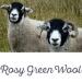 Rosy Green Wool