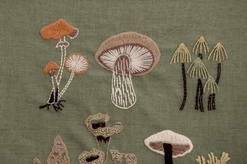 DMC Stickbuch - Botanische Schatztruhe Modellbeispiel Pilze