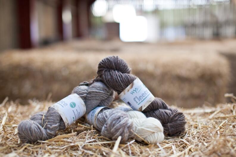 WYS  Fleece  Bluefaced Leicester Roving - Natural Collection