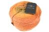 Schoppel Wolle Zauberwolle 100g Farbe: Katzengold